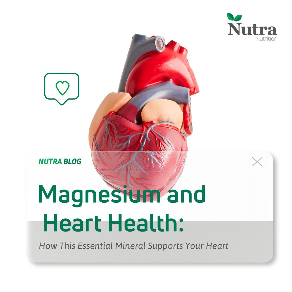 Magnesium and Heart Health