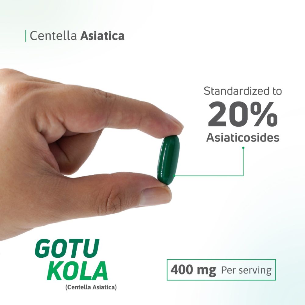 Gotu Kola 400mg softgel, standardized to 20% Asiaticosides.