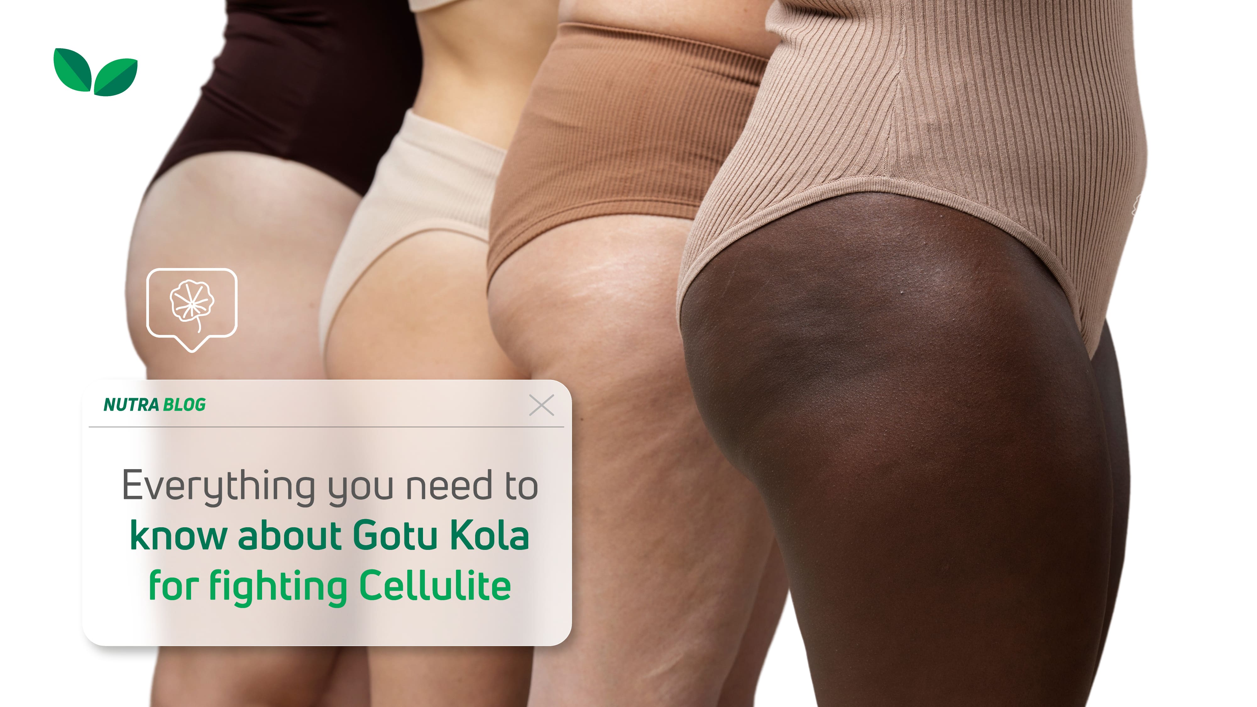 Everything You Need to Know About Gotu Kola for Fighting Cellulite